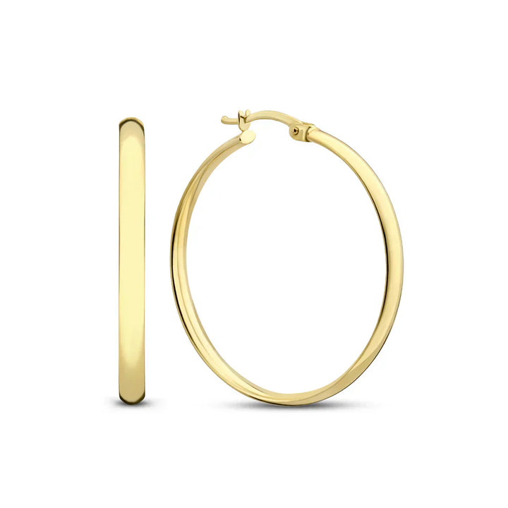 Noa Serane Earrings | Radiance