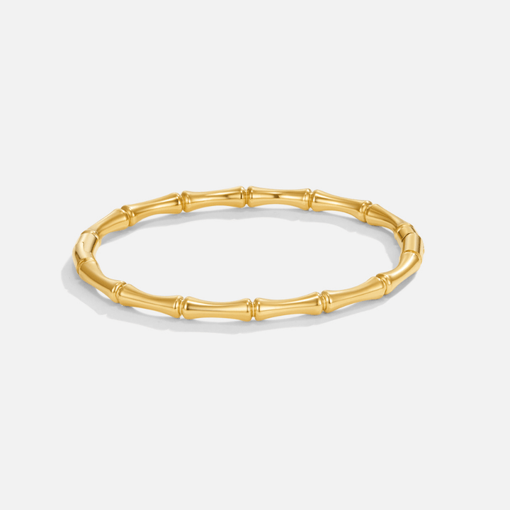 Golden Ara Charm Bracelet