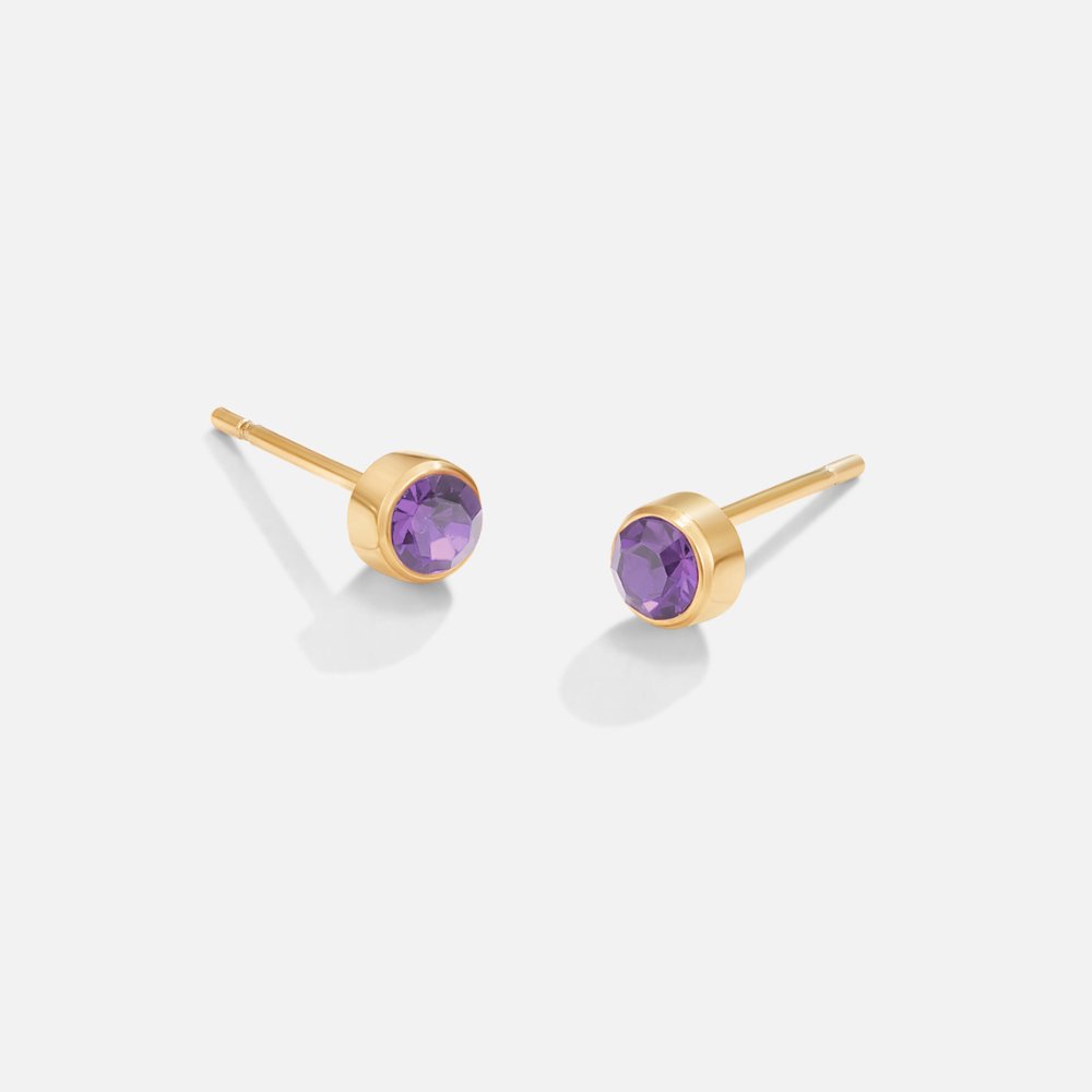 Éclat de Naissance: Boucles d'Oreilles Stud