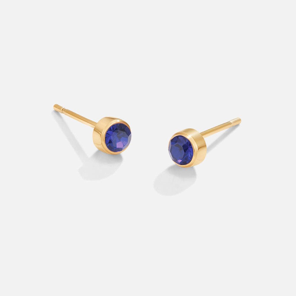 Éclat de Naissance: Boucles d'Oreilles Stud