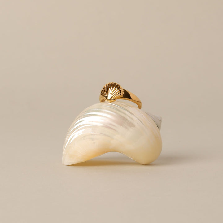 Éclat Marin – Bague Élégante